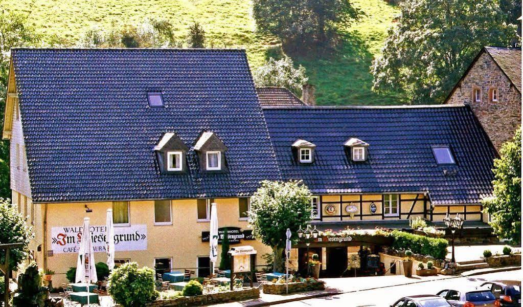 Waldhotel Im Wiesengrund Hürtgenwald Eksteriør billede